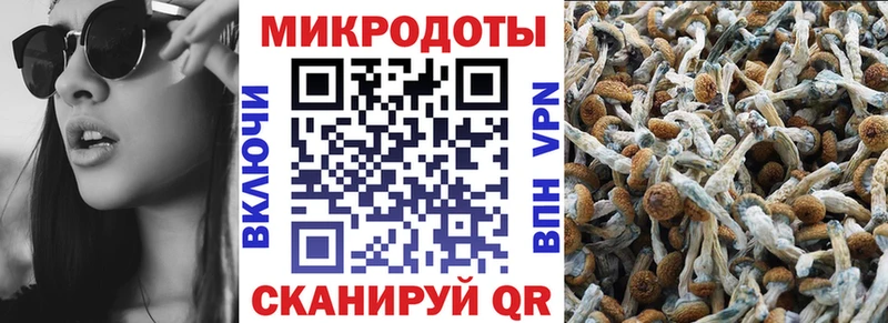 Галлюциногенные грибы GOLDEN TEACHER  наркошоп  Тихорецк 